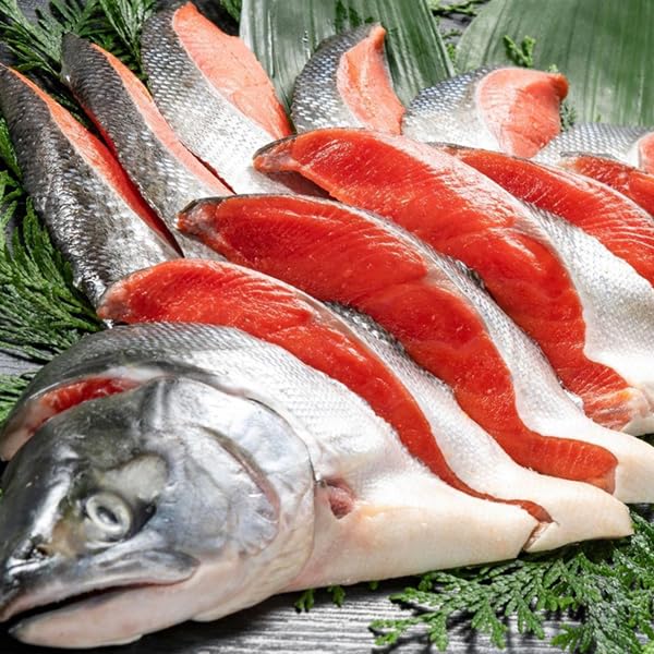 北海道産新巻鮭✖️2 新巻鮭 切り身 切身 ギフト 送料無料